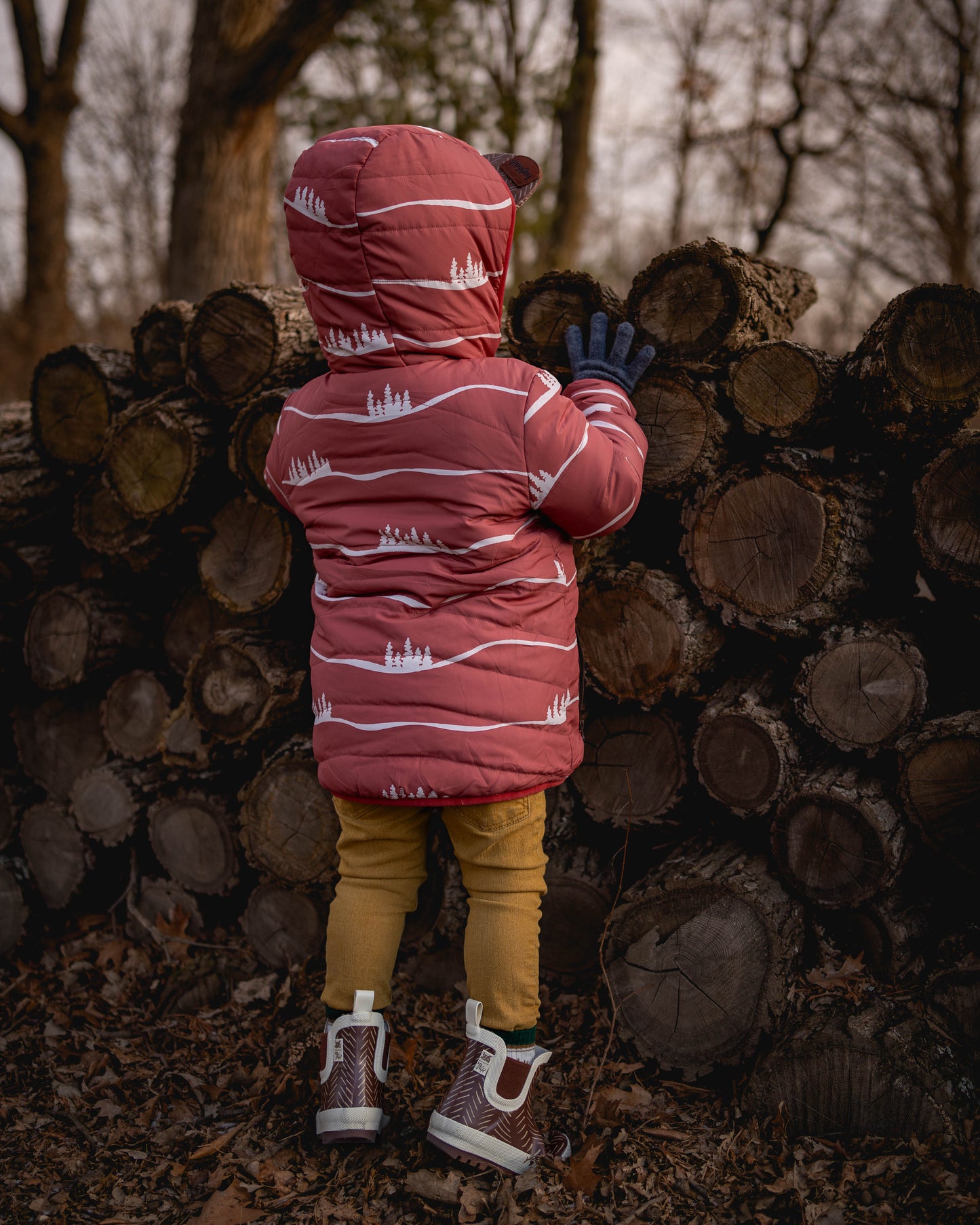 Reversible Hills Lightweight Puffy Jacket