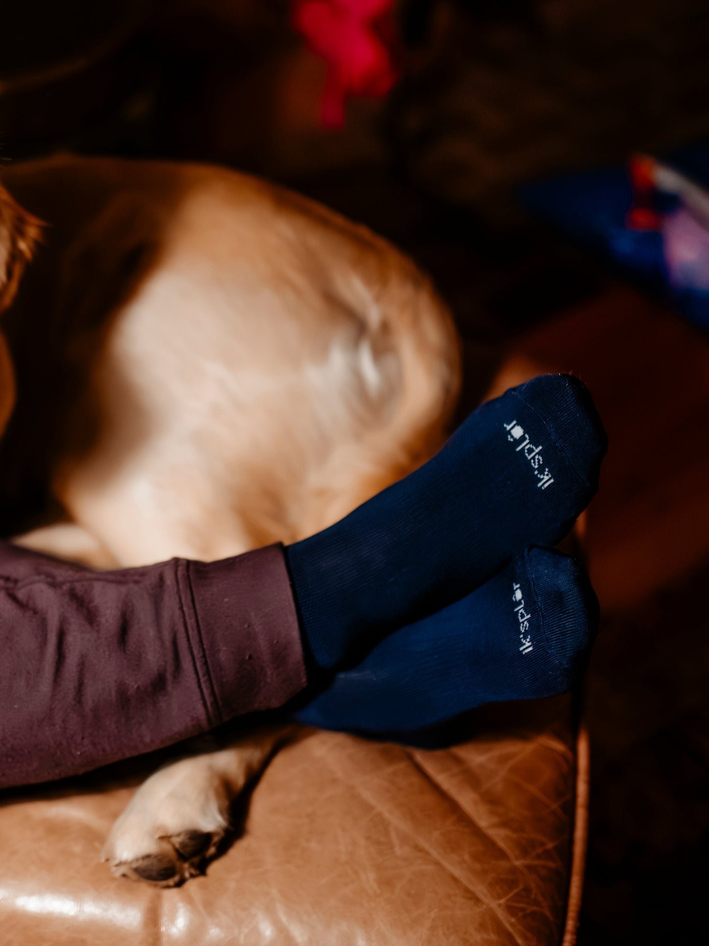 Merino Wool & Tencel Trail Socks (Set of 2)